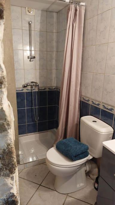 Maisonnette Chaleureuse De 35M2 Miremont  Extérieur photo